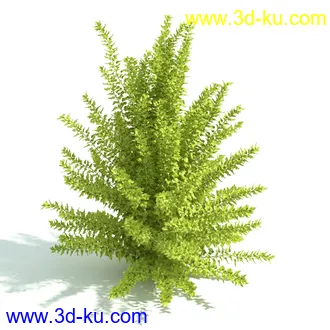 园林植物,园林园艺,草皮,树篱模型,绿篱模型,草堆,草墙,剪草,园林景观模型合集的图片