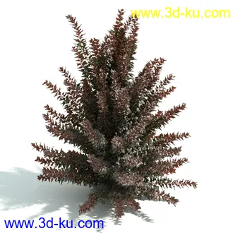 园林植物,园林园艺,草皮,树篱模型,绿篱模型,草堆,草墙,剪草,园林景观模型合集的图片