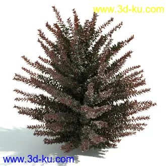 园林植物,园林园艺,草皮,树篱模型,绿篱模型,草堆,草墙,剪草,园林景观模型合集的图片