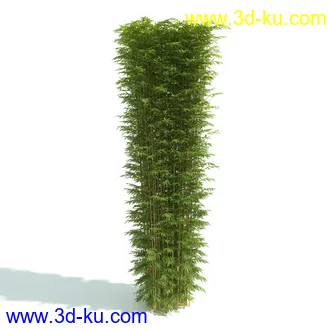 园林植物,园林园艺,草皮,树篱模型,绿篱模型,草堆,草墙,剪草,园林景观模型合集的图片