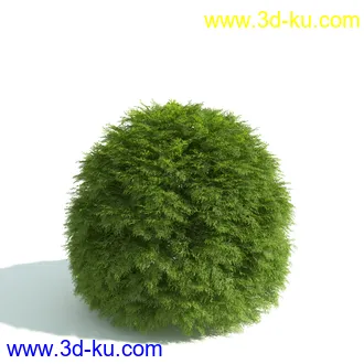 园林植物,园林园艺,草皮,树篱模型,绿篱模型,草堆,草墙,剪草,园林景观模型合集的图片