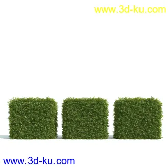 园林植物,园林园艺,草皮,树篱模型,绿篱模型,草堆,草墙,剪草,园林景观模型合集的图片