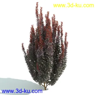 园林植物,园林园艺,草皮,树篱模型,绿篱模型,草堆,草墙,剪草,园林景观模型合集的图片