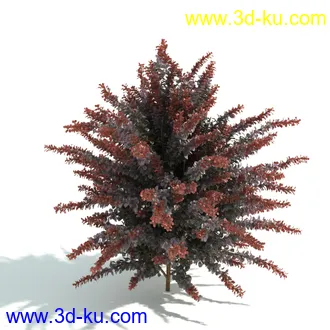 园林植物,园林园艺,草皮,树篱模型,绿篱模型,草堆,草墙,剪草,园林景观模型合集的图片