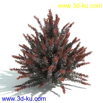 园林植物,园林园艺,草皮,树篱模型,绿篱模型,草堆,草墙,剪草,园林景观模型合集的图片