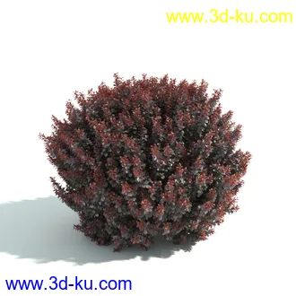 园林植物,园林园艺,草皮,树篱模型,绿篱模型,草堆,草墙,剪草,园林景观模型合集的图片