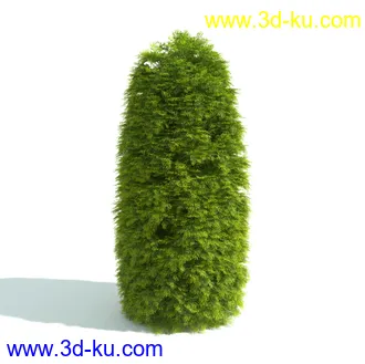 园林植物,园林园艺,草皮,树篱模型,绿篱模型,草堆,草墙,剪草,园林景观模型合集的图片