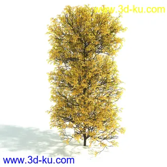 园林植物,园林园艺,草皮,树篱模型,绿篱模型,草堆,草墙,剪草,园林景观模型合集的图片47