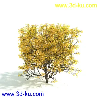 园林植物,园林园艺,草皮,树篱模型,绿篱模型,草堆,草墙,剪草,园林景观模型合集的图片48