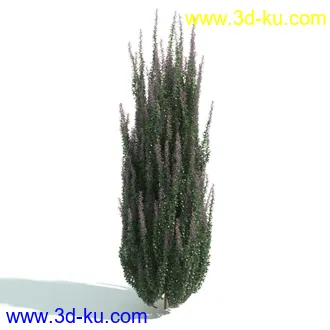 园林植物,园林园艺,草皮,树篱模型,绿篱模型,草堆,草墙,剪草,园林景观模型合集的图片50