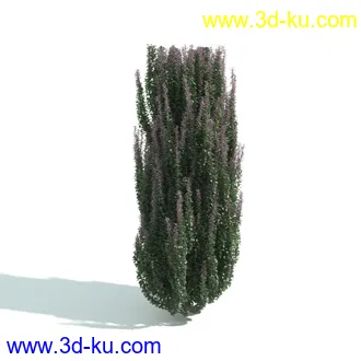 园林植物,园林园艺,草皮,树篱模型,绿篱模型,草堆,草墙,剪草,园林景观模型合集的图片