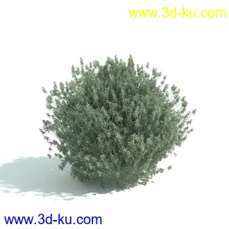 园林植物,园林园艺,草皮,树篱模型,绿篱模型,草堆,草墙,剪草,园林景观模型合集的图片