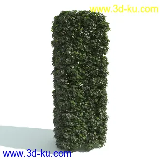 园林植物,园林园艺,草皮,树篱模型,绿篱模型,草堆,草墙,剪草,园林景观模型合集的图片