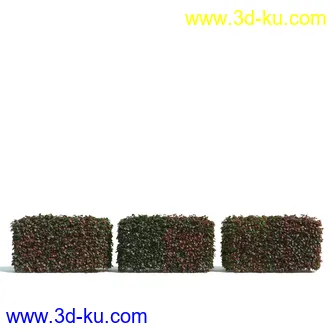 园林植物,园林园艺,草皮,树篱模型,绿篱模型,草堆,草墙,剪草,园林景观模型合集的图片