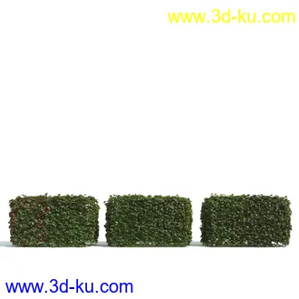 园林植物,园林园艺,草皮,树篱模型,绿篱模型,草堆,草墙,剪草,园林景观模型合集的图片