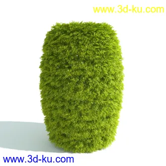 园林植物,园林园艺,草皮,树篱模型,绿篱模型,草堆,草墙,剪草,园林景观模型合集的图片